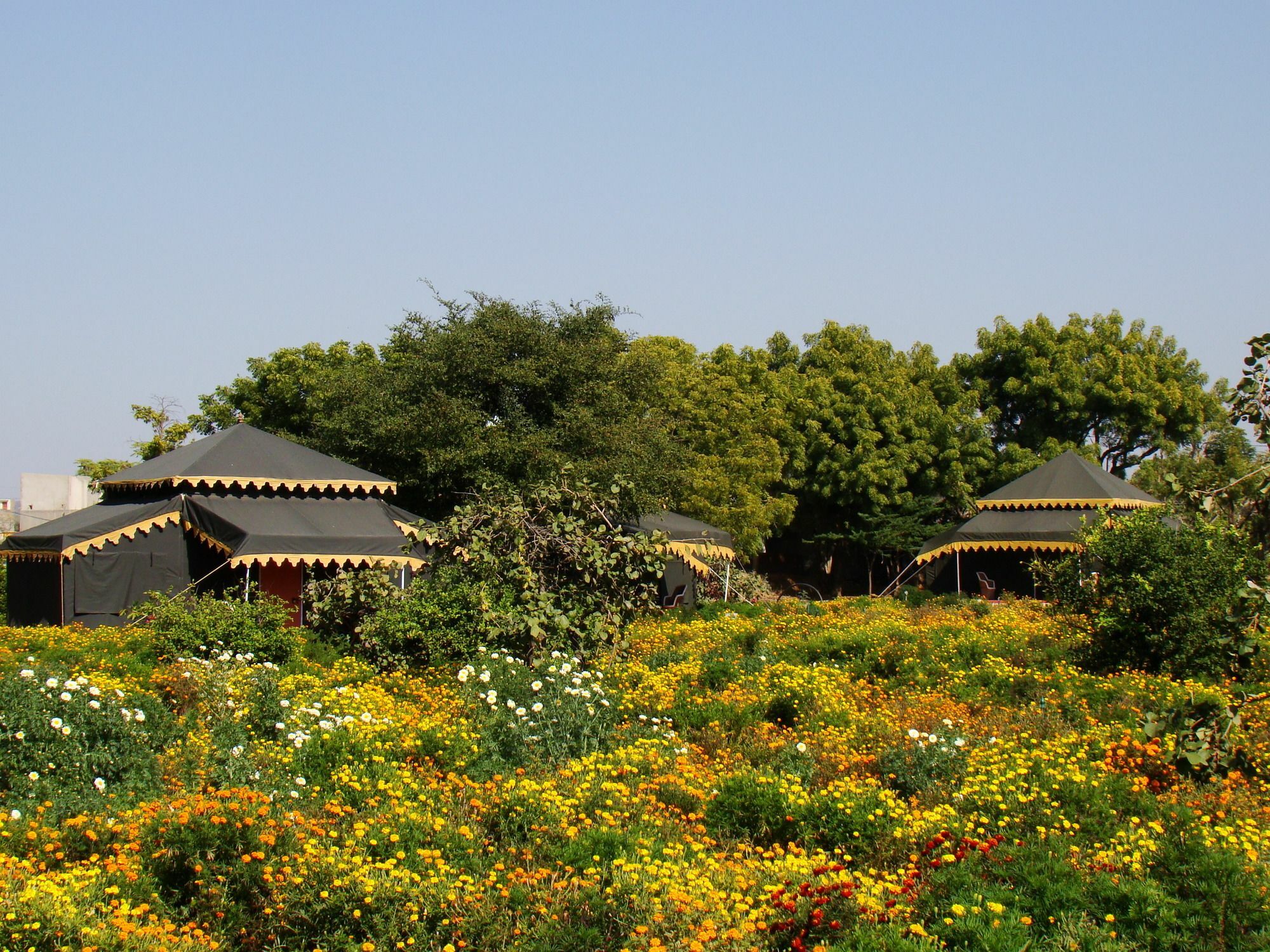 Orchard Tents & Tranquility Pushkar Exterior photo