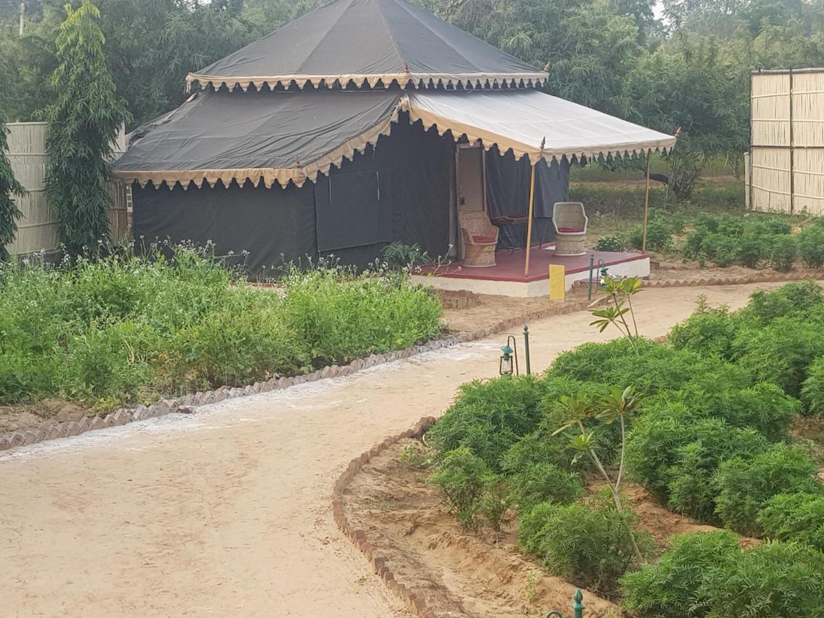 Orchard Tents & Tranquility Pushkar Exterior photo