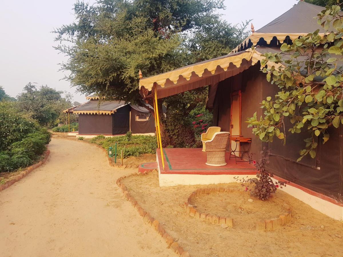 Orchard Tents & Tranquility Pushkar Exterior photo