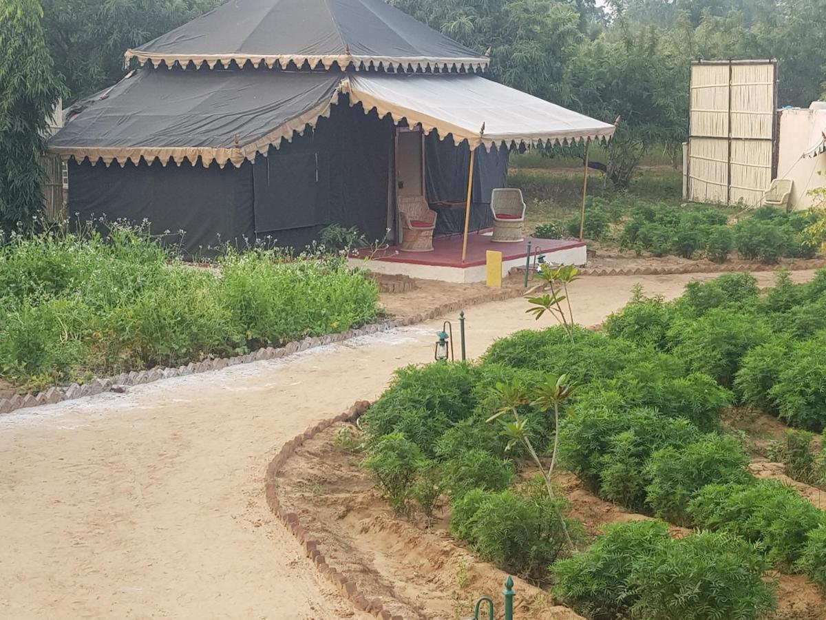 Orchard Tents & Tranquility Pushkar Exterior photo