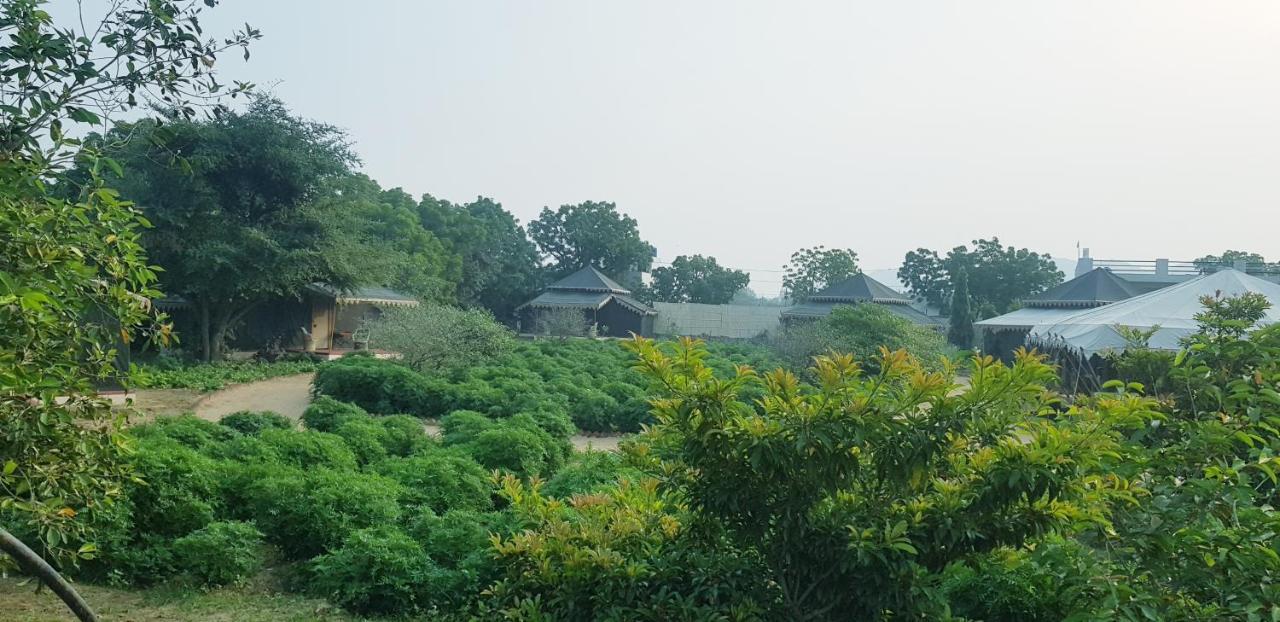 Orchard Tents & Tranquility Pushkar Exterior photo